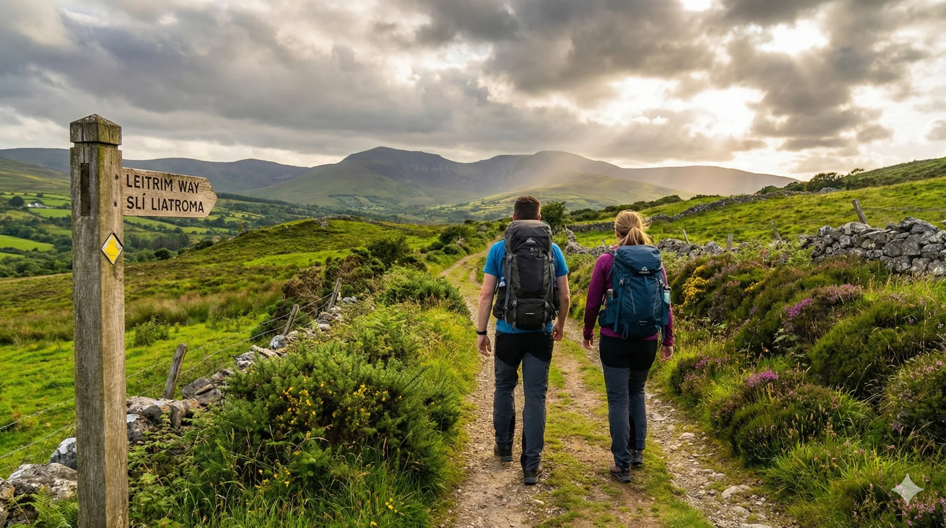 Walking trail through nature